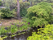 008- Gardens-Hemeji-Castle